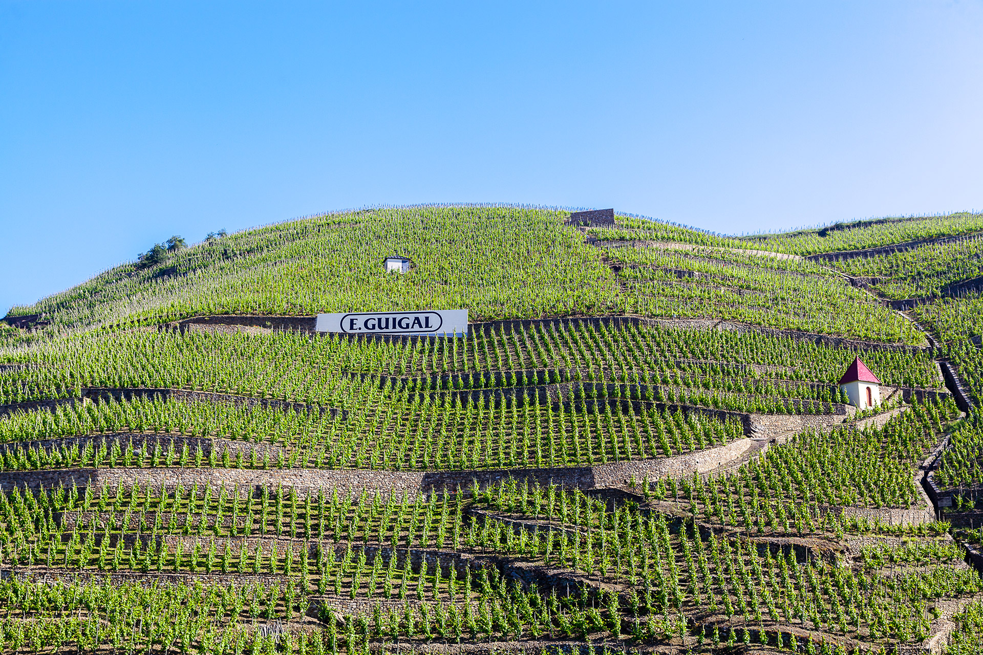 Le vignoble de la Maison Guigal avec son enseigne E. GUIGAL